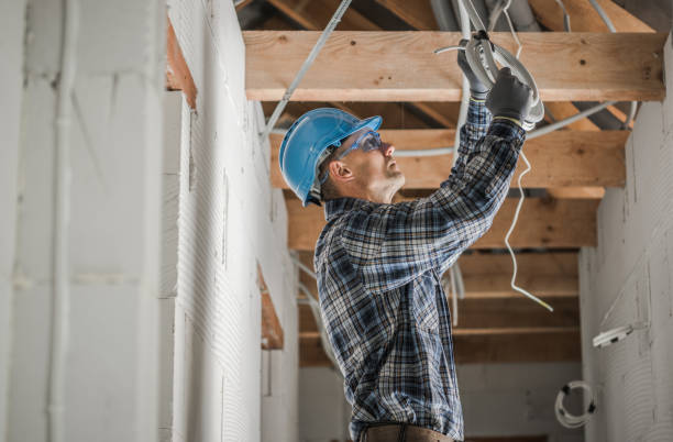 Best Affordable Electrician  in Wolverine Lake, MI