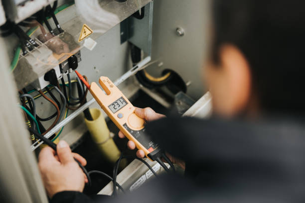 Best Local Electrician Companies  in Wolverine Lake, MI
