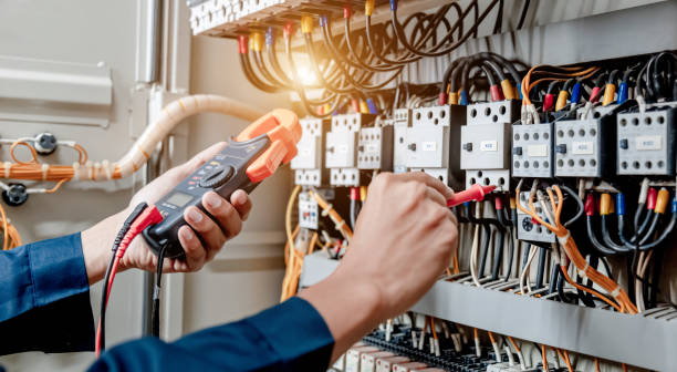 Best Electric Panel Repair  in Wolverine Lake, MI