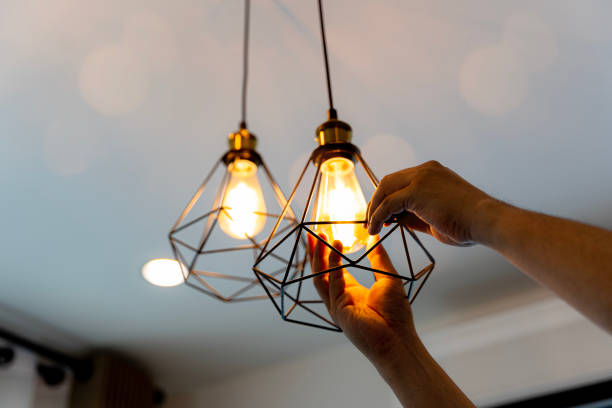 Best Electrician for Home Renovation  in Wolverine Lake, MI