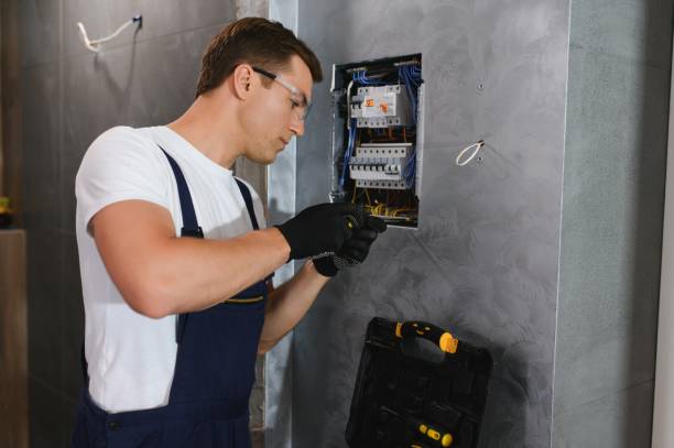 Best Residential Electrician Services  in Wolverine Lake, MI