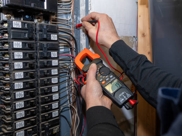 Best Electrical Troubleshooting Services  in Wolverine Lake, MI